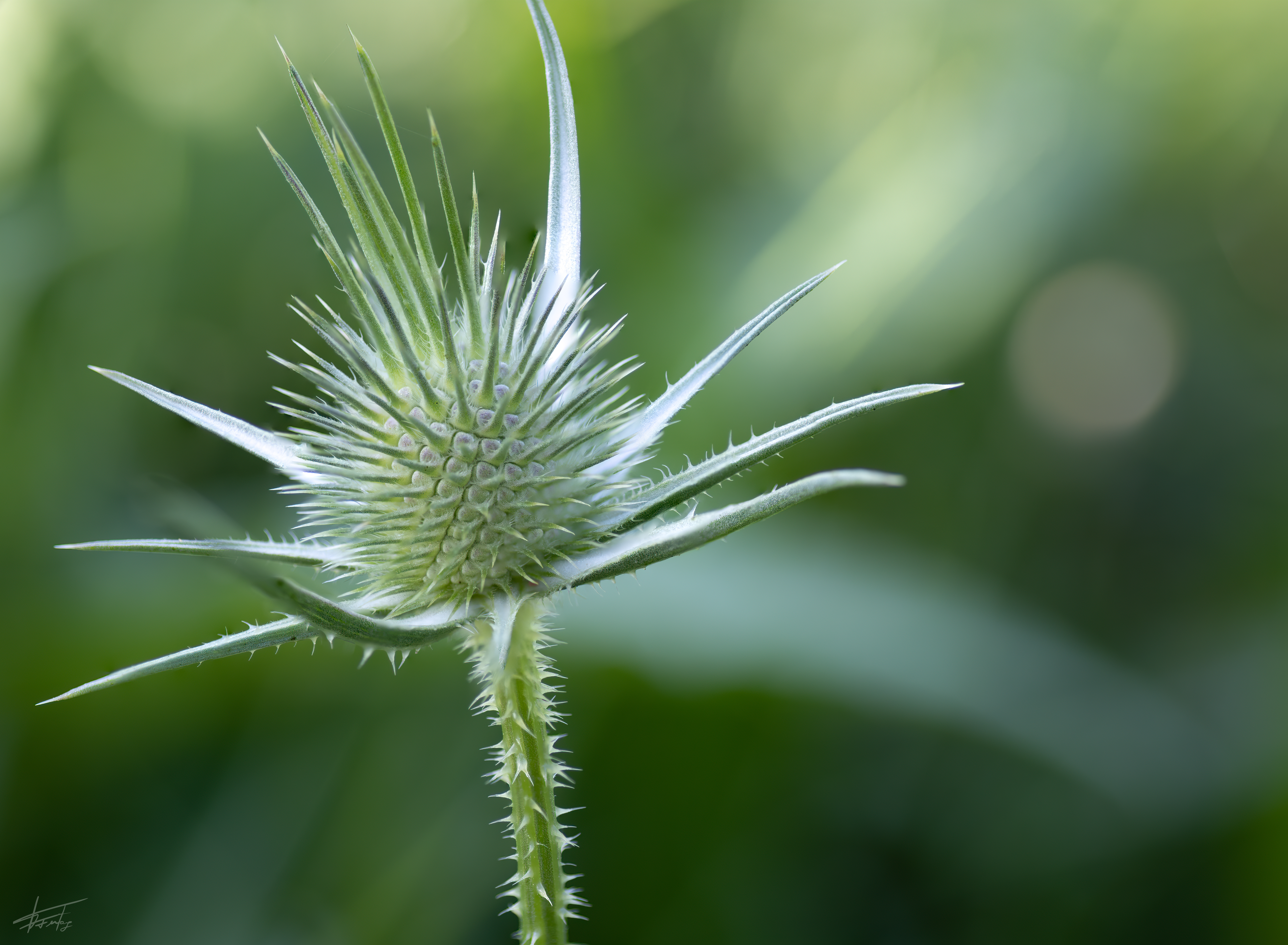 EosR 0717 09. August 2021 Bearbeitet